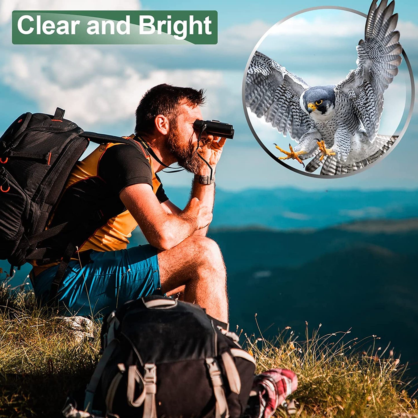 POLDR 8X21 Mini Pocket Binoculars Compact, Small Clear View Binoculars for Adults, Easy Focus Lightweight Portable Binoculars for Bird Watching Theater Opera Travel